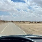 3 Days 2 Nights Private Tour from Marrakech to Fes via Sahara Desert - Ouarzazate and the Rose Valley