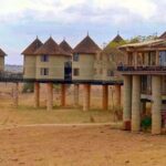 3 Days 2 Nights Safari to Saltlick Lodge from Nairobi - Transport, Guides, and Comfort