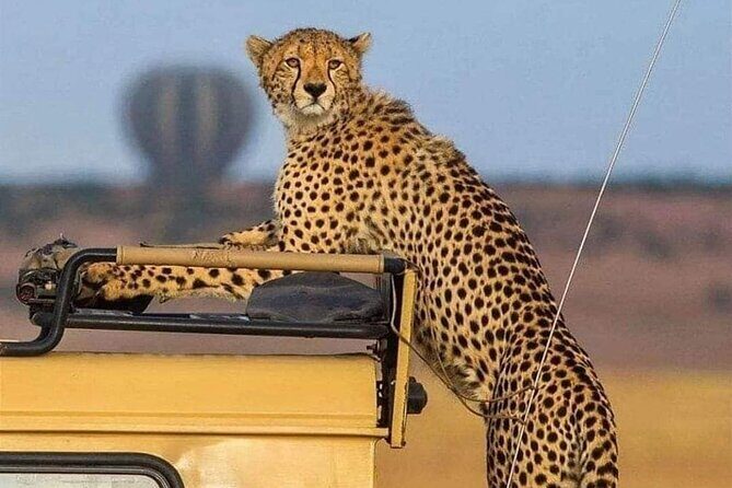 3 Days /2 nights Serengeti and Ngorongoro crater - What Sets This Tour Apart?
