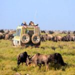 3 Days 2 Nights Serengeti, Ngorongoro & Tarangire Wildlife Lodge Safari - What Travelers Might Love