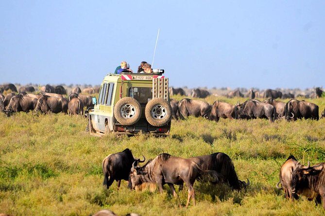 3 Days 2 Nights Serengeti, Ngorongoro & Tarangire Wildlife Lodge Safari - What Travelers Might Love