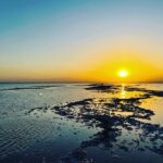 3 Days 2 Nights Small Group Danakil Depression Tours - Practical Aspects and Logistics