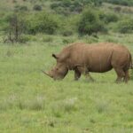 3-Days 2-nights Tanzania Private Budget Camping Safari - Key Points