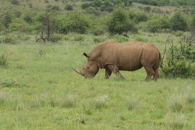 3-Days 2-nights Tanzania Private Budget Camping Safari - Key Points