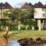 3 Days 2 Nights To Sarova Saltlick And Taita Hills - Key Points