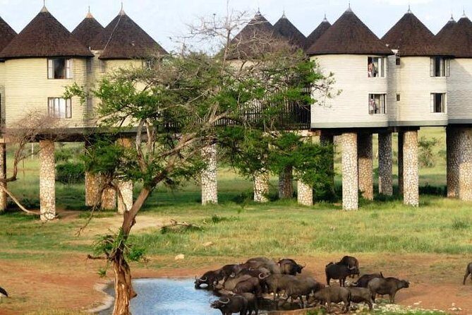 3 Days 2 Nights To Sarova Saltlick And Taita Hills - Key Points