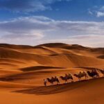 3 Days 2 nights trip starting from Fez ending in Fez via Sahara Desert Merzouga - Practical Tips for Your Trip