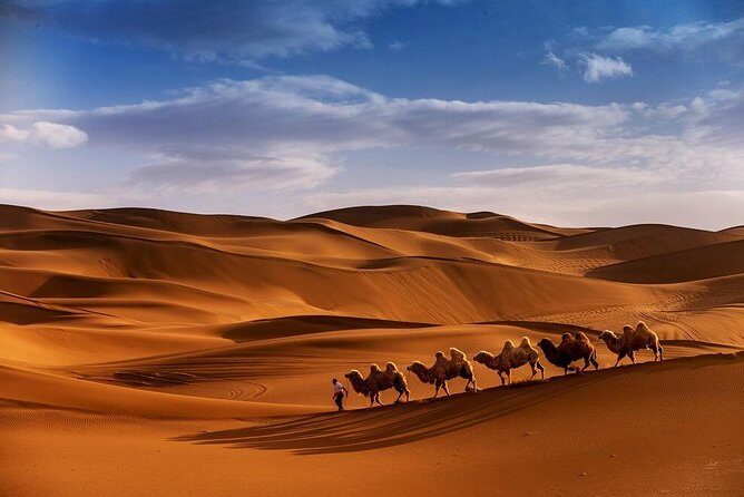 3 Days 2 nights trip starting from Fez ending in Fez via Sahara Desert Merzouga - Practical Tips for Your Trip