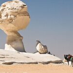 3 Days 2 Nights White Desert and Bahariya Oasis Tour - Final Thoughts: Is This Tour Right for You?