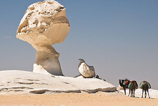 3 Days 2 Nights White Desert and Bahariya Oasis Tour - Final Thoughts: Is This Tour Right for You?