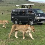 3 Days adventurous Maasai Mara Budget Group Safari - Final Thoughts
