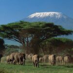 3 days Amboseli, Land of Kilimanjaro - What’s Included & What’s Not