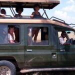 3 Days Amboseli National Park - Real Experiences and What Travelers Say