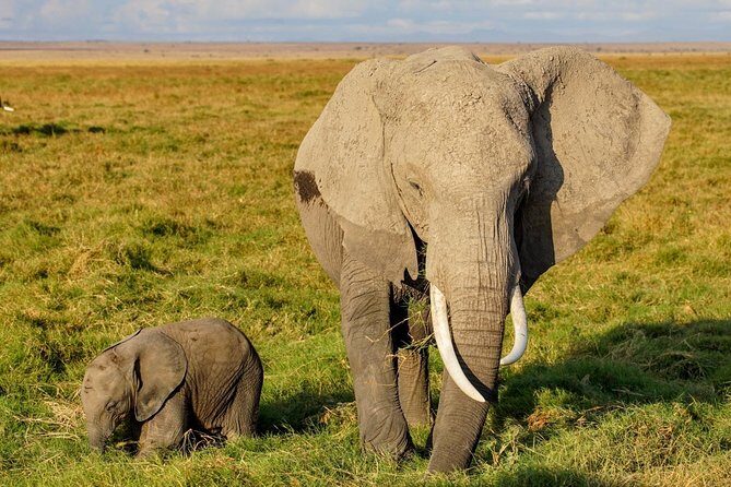 3 Days Amboseli National Park safari - What’s Included & What’s Not