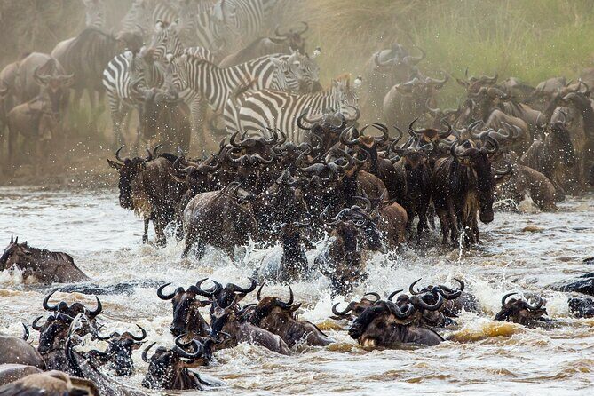 3 Days and 2 Nights Adventure in Masai Mara - What’s Included and What’s Not