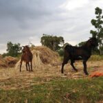 3 days, Arba Minch and Dorze - Additional Considerations