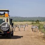 3 Days Best of MasaiMara Wildlife Private Safari, Mid-Range offer - The Itinerary in Detail