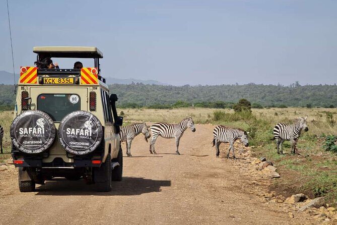 3 Days Best of MasaiMara Wildlife Private Safari, Mid-Range offer - The Itinerary in Detail