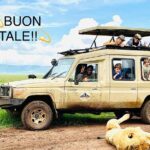 3 Days Big 5 Tour and Culture in Tanzania - Why This Tour Offers Great Value