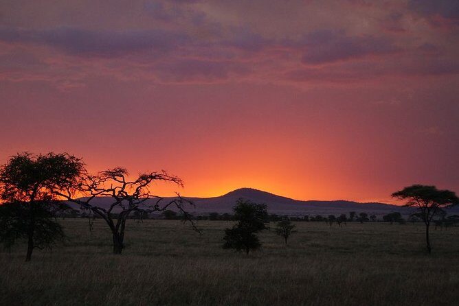 3 Days Budget Masai Mara Safari - What to Expect from the 3-Day Masai Mara Safari