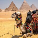 3 Days Cairo and Alexandria Tours including the entrance fees - Is This Tour Right for You?