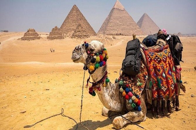 3 Days Cairo and Alexandria Tours including the entrance fees - Is This Tour Right for You?