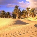 3 Days Desert Tour From Marrakech To Merzouga Désert And World Heritage Kasbah - Transportation & Group Size