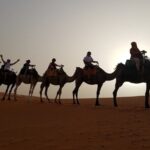 3 Days Desert Tour From Marrakech To Merzouga Dunes & Camel Trek - What the Tour Includes & What to Expect