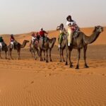 3 Days Desert Tour From Marrakech To Merzouga dunes & camel trek - What Sets This Tour Apart