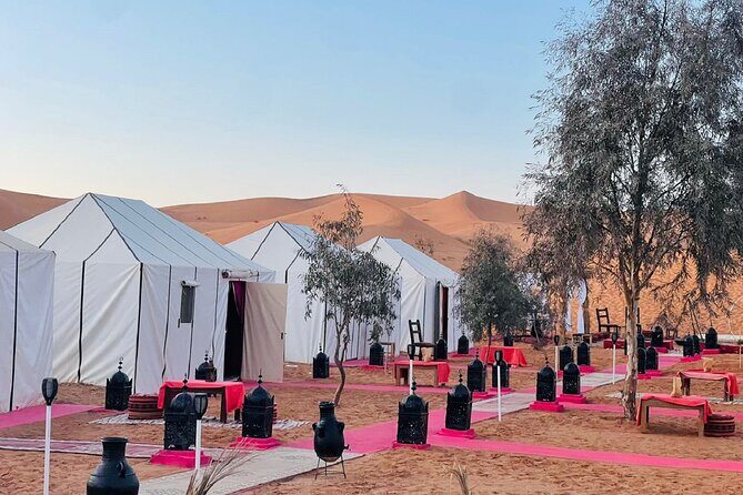 3 days desert Tours from marrakech - Day Two: Into the Heart of the Sahara