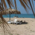 3 Days Djibouti Tour - Exploring the 3 Days Djibouti Tour: A Detailed Review