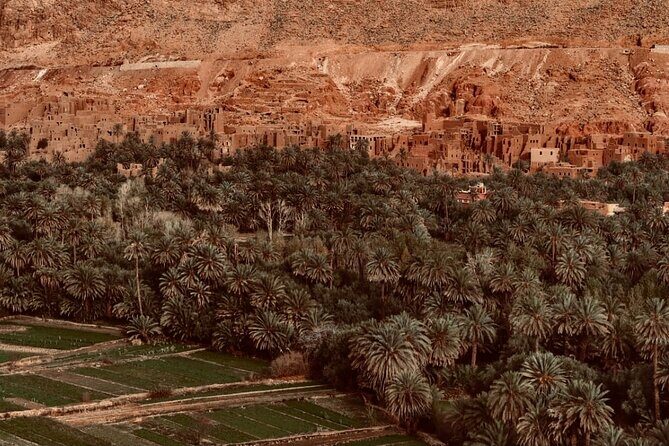 3 Days Excursion into Merzouga Desert - What Makes This Tour Stand Out?