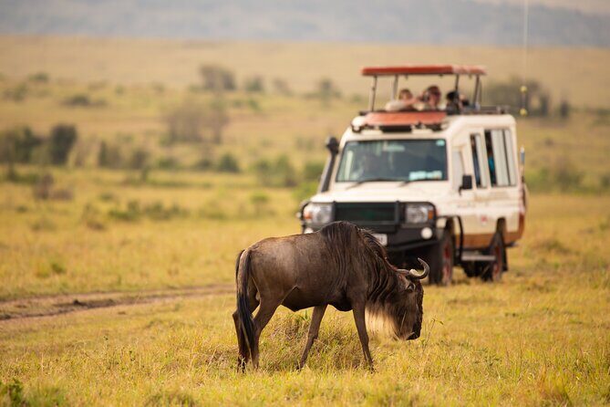 3 days fly in safari - Authentic Experiences and Guest Insights