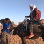 3 Days From Marrakech To Fez Via Sahara Desert Merzouga - Final Thoughts: Who Will Love This Tour?