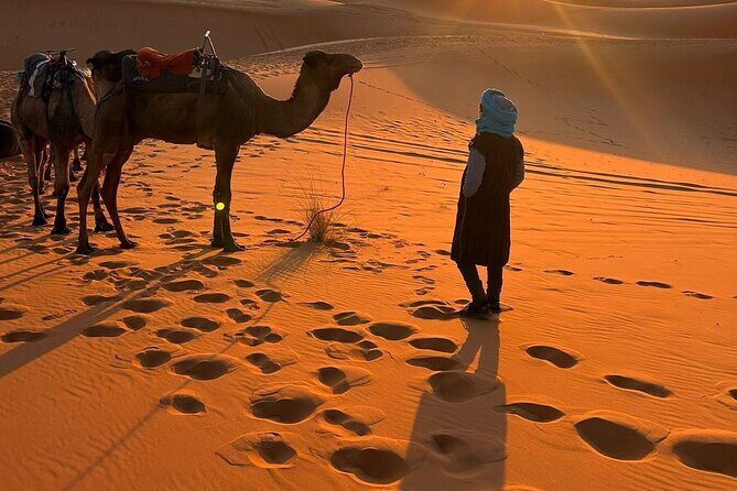 3 days from Marrakech to Merzoga: Camel ride and Lux tent - What Makes This Tour Stand Out?