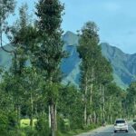 3 Days Gorilla & Golden Monkey Trekking Safaris - The Value: Is It Worth the Cost?