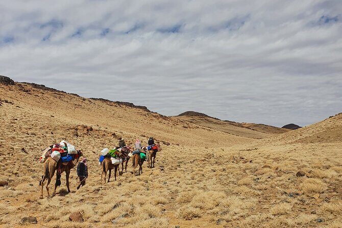 3 Days Hike Experience in Sinai Heights on Old Trails - What’s Included & What’s Not