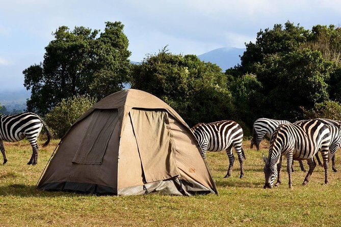 3 Days Joined Group Safari Ngorongoro,Lake Manyara and Tarangire National Park - What You’ll Love About This Safari