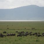 3 Days Lake Manyara, Ngorogoro Crater, Tarangire National Park - Who Should Consider This Tour?