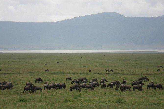 3 Days Lake Manyara, Ngorogoro Crater, Tarangire National Park - Who Should Consider This Tour?