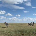3 Days Lake Manyara, Tarangire, Ngorongoro Crater group (Camping) - Practical Considerations and Tips