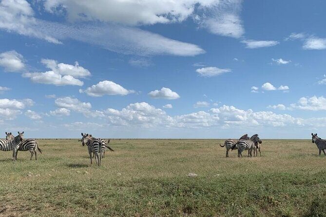 3 Days Lake Manyara, Tarangire, Ngorongoro Crater group (Camping) - Practical Considerations and Tips