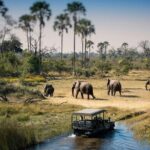 3-Days Lodge Safari in Tarangire, Ngorongoro Crater & Lake Manyara - The Sum Up