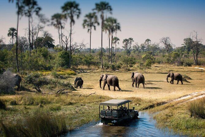 3-Days Lodge Safari in Tarangire, Ngorongoro Crater & Lake Manyara - The Sum Up