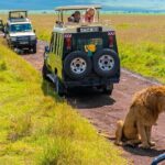 3 days Luxury Safari Tour in Tanzania - Transportation and Group Size