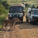 3-Days Maasai Mara Camping Safari on 4x4 Land Cruiser Jeep - Detailed Breakdown of the Itinerary