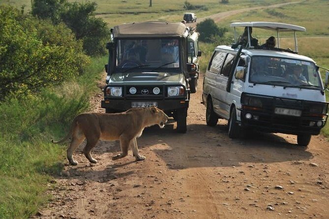 3-Days Maasai Mara Camping Safari on 4x4 Land Cruiser Jeep - Detailed Breakdown of the Itinerary