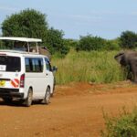 3 Days Maasai Mara Guided Safari from Nairobi - How the Tour Stacks Up