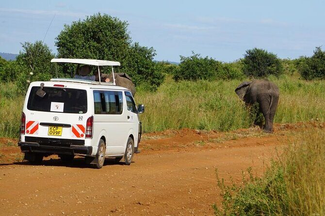 3 Days Maasai Mara Guided Safari from Nairobi - How the Tour Stacks Up