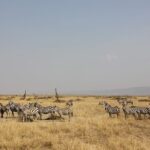 3 Days Maasai Mara Luxury Camping - Breakdown of the Itinerary: What Makes Each Day Special